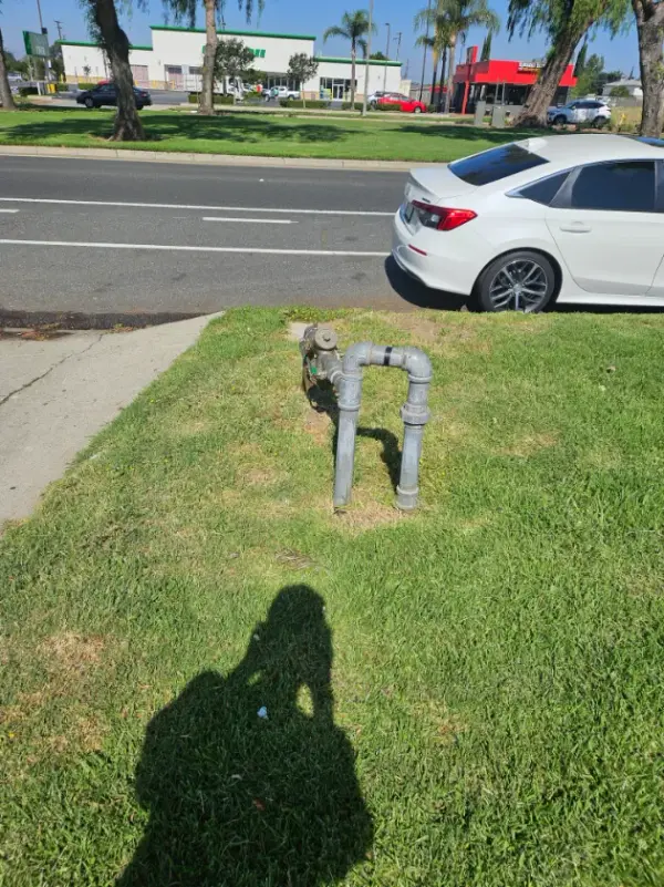 Backflow preventer on a galvanized riser in a commercial landscape strip beside a street