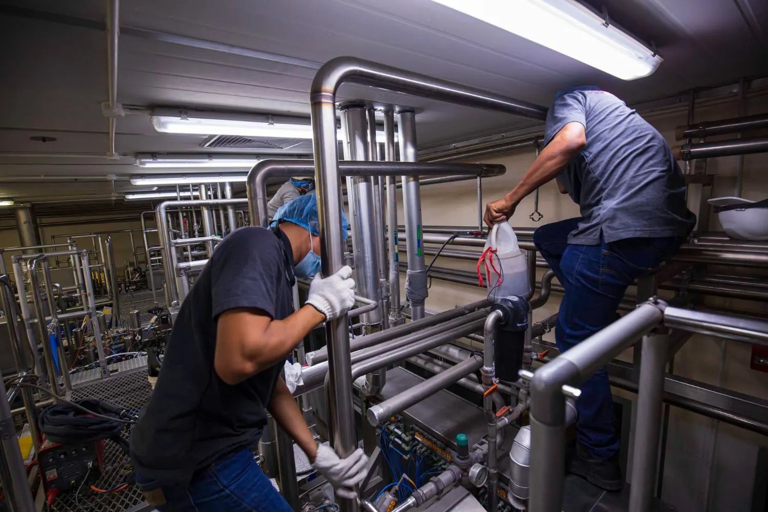 Technicians in gloves and hairnets working among stainless steel process piping in an industrial plant