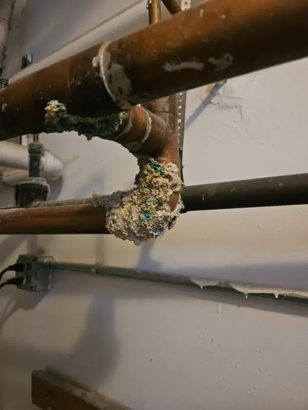 Heavy mineral and verdigris buildup on a leaking copper pipe joint at a ceiling