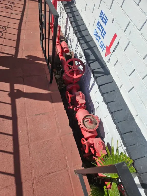 Red fire-service piping, gate valve and detector check meter under a "Main Water Shut Off" sign