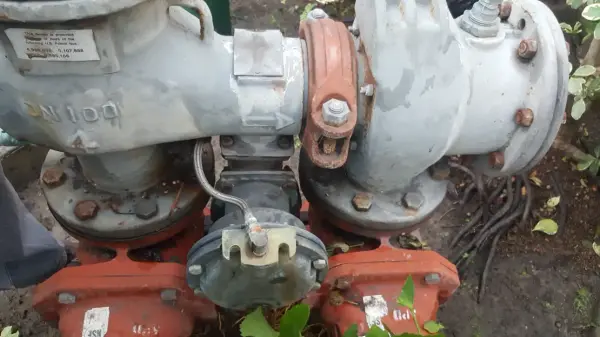 Large flanged backflow preventer and gate valves installed at grade in a planter bed